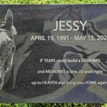 Jessy 5