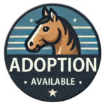 Adoption Available Badge