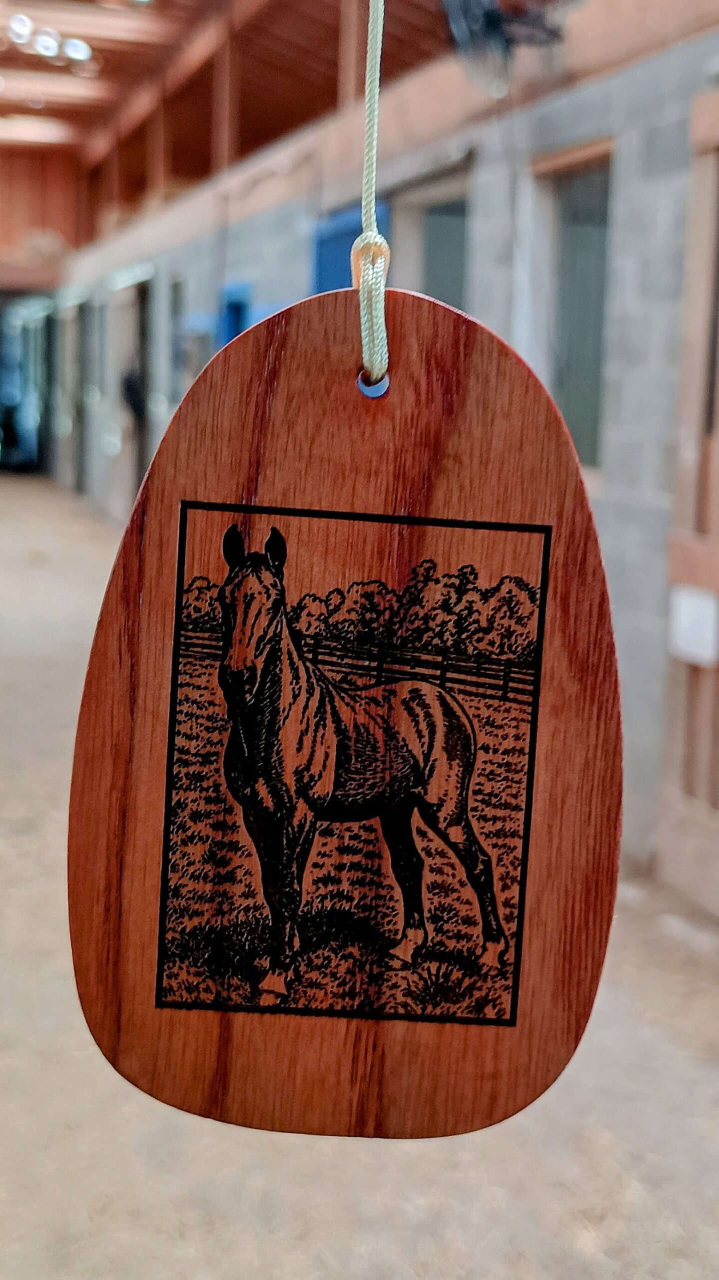 Drop Zone 2 engraved photo side