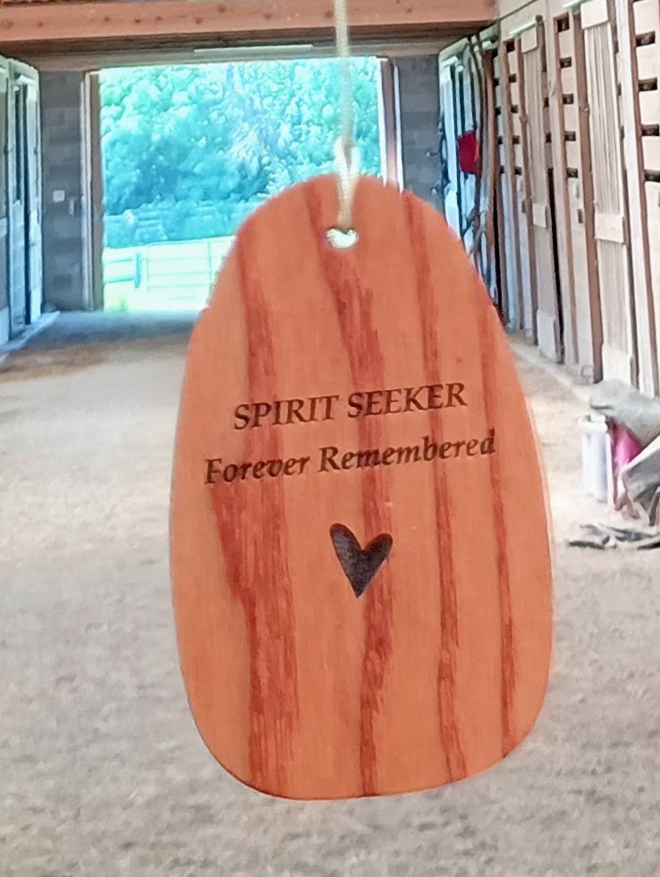 Drop Zone 3 Spirit Seeker Forever Remembered side